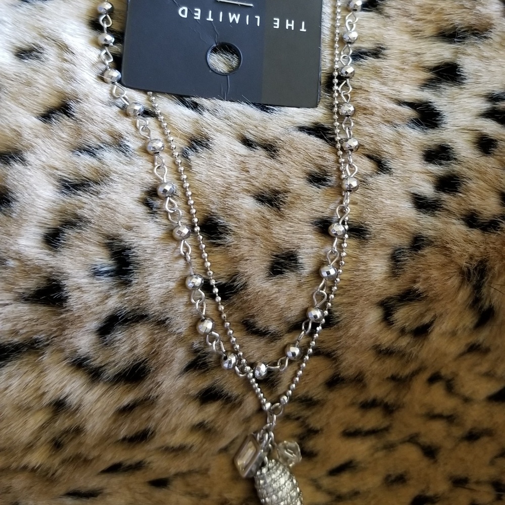 NWT THE LIMITED Silver charms necklace
